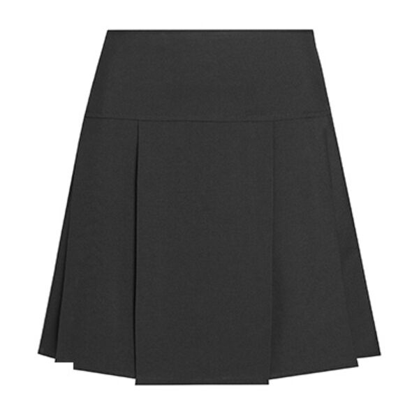 DL973 Dyson Senior Drop Waisted Pleated skirt Thumbnail