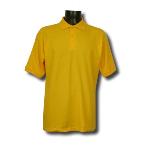 Sir John Colfox School - PE Polo - Adult Thumbnail